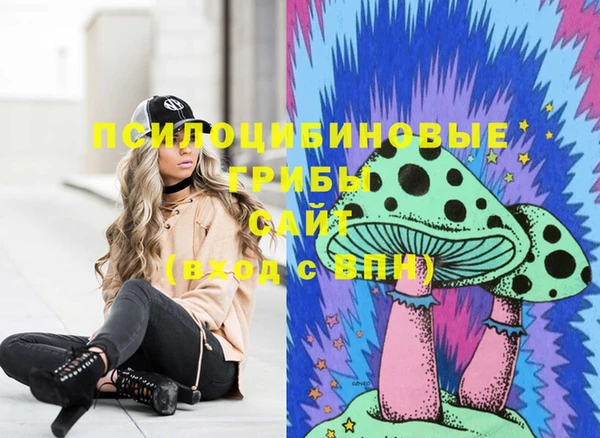 таблы Алзамай